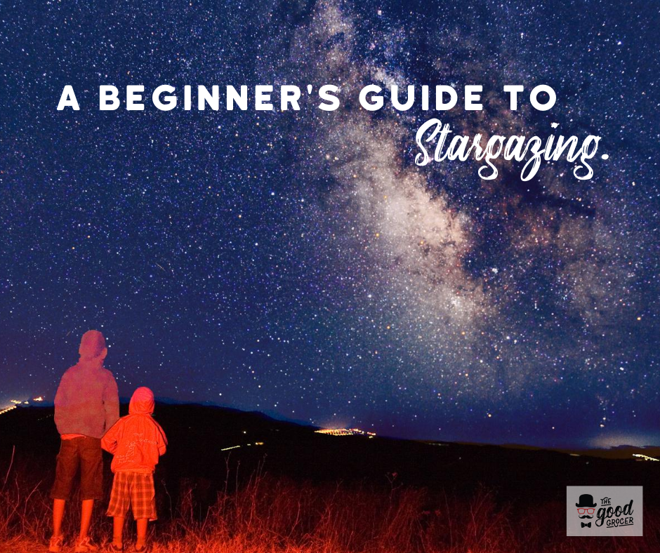 Snacking Under the Stars: A Beginner's Guide to Stargazing